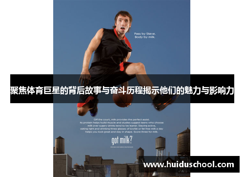 聚焦体育巨星的背后故事与奋斗历程揭示他们的魅力与影响力